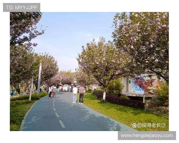 桃花朵朵开：不期而遇的浪漫，从这里悄然绽放